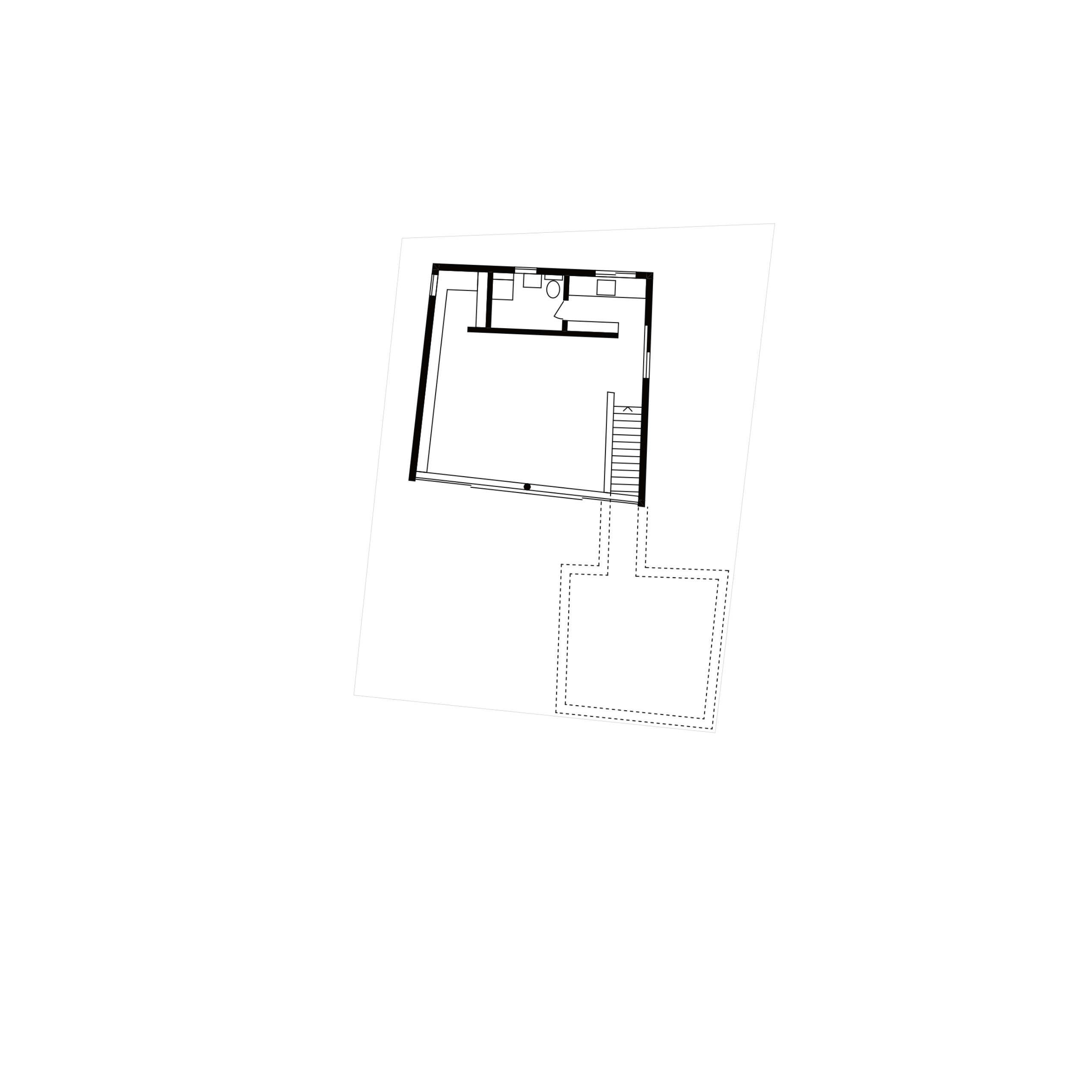 Cryptic C plan_1